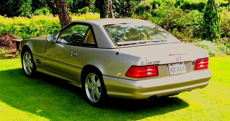 Mercedes-Benz SL cena 49900 przebieg: 286000, rok produkcji 1998 z Łęczna małe 497